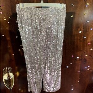 Express Glittering Silver Cropped Pants